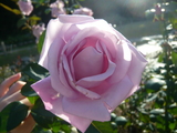source_P1010947.JPG