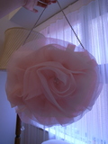 source_R0011554.JPG